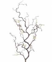 Paasviering kronkelhazelaar paastak 66 cm